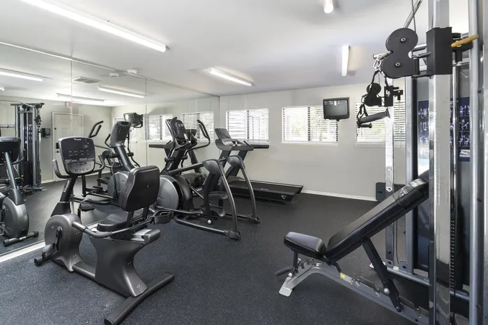 Fitness Center | Cardio Machines | Weight Machine