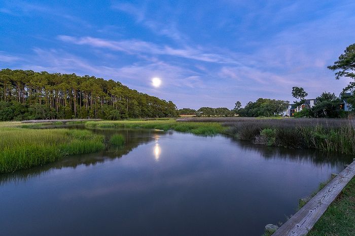 Moon over the marsh
