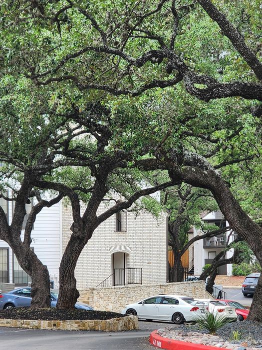 Charming residential view with lush green trees and modern apartment buildings, featuring convenient parking space and inviting pathways.