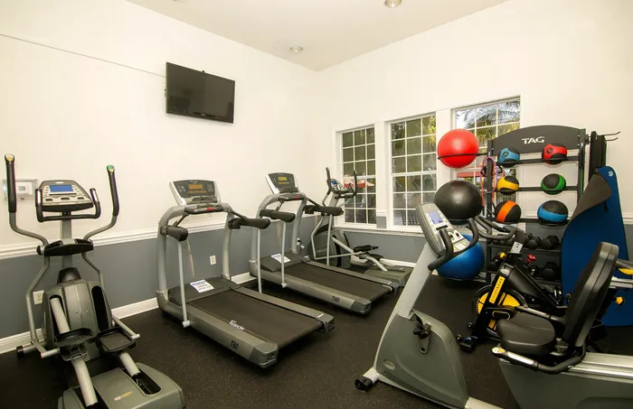 Modern fitness room equipped with treadmills, elliptical machines, and vibrant exercise balls, perfect for an energizing workout.