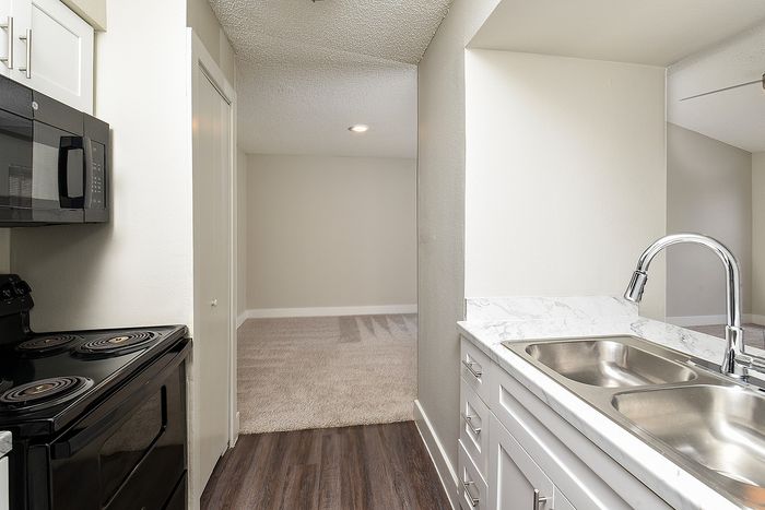 Modern apartment showcasing a sleek kitchen with marble countertops, stainless steel sink, and cozy living space entrance.