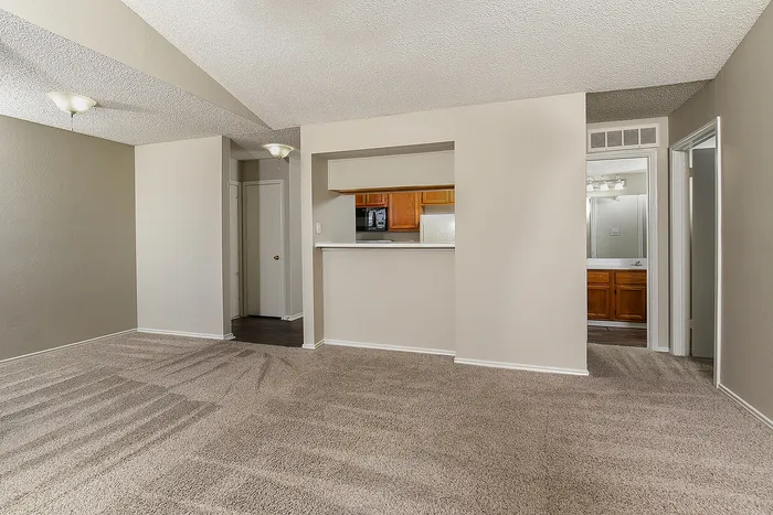 Bright, open-concept living area with plush carpet and a cozy kitchen pass-through, perfect for modern living.