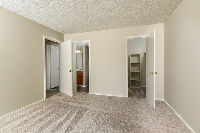 Bright and spacious room with plush carpet, featuring open doors to a bathroom and walk-in closet.