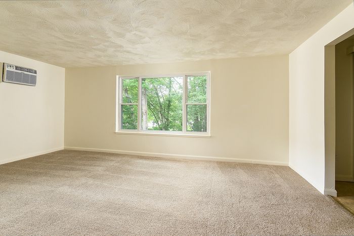 Bright and spacious living room featuring plush carpet and a large window with serene tree views.