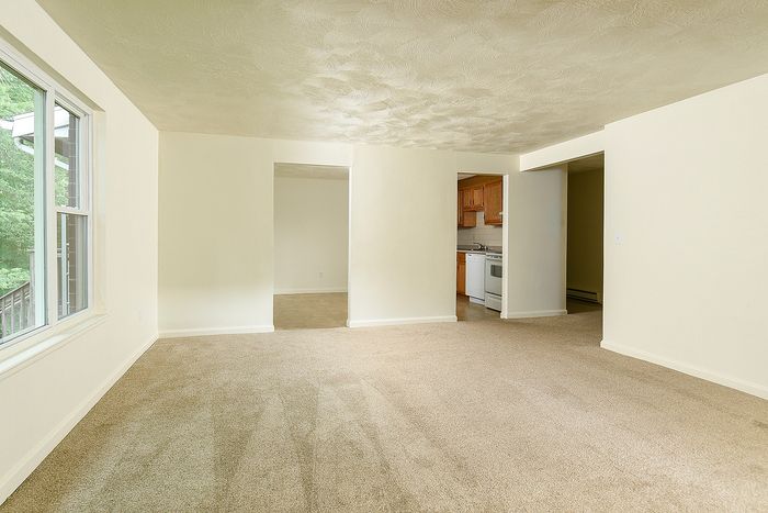 Bright and inviting living space with plush carpeting, large window for natural light, and a glimpse into a cozy kitchen with wooden cabinets.