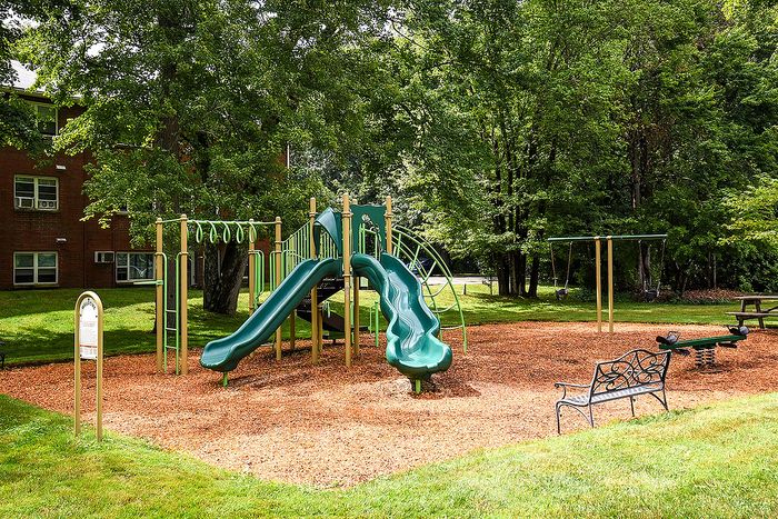 Charming playground area with vibrant green slides, swings, and benches set amidst lush greenery, perfect for family fun.