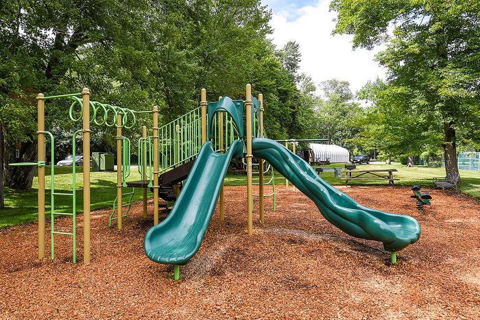 Charming outdoor playground with vibrant green slides and climbing structures, nestled among lush trees for family fun.