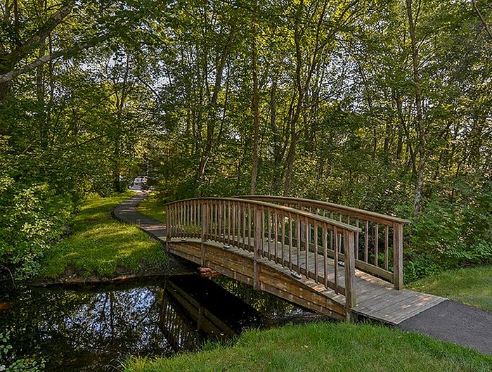 Charming wooden footbridge crossing a tranquil stream surrounded by lush green forest, offering a serene nature escape.