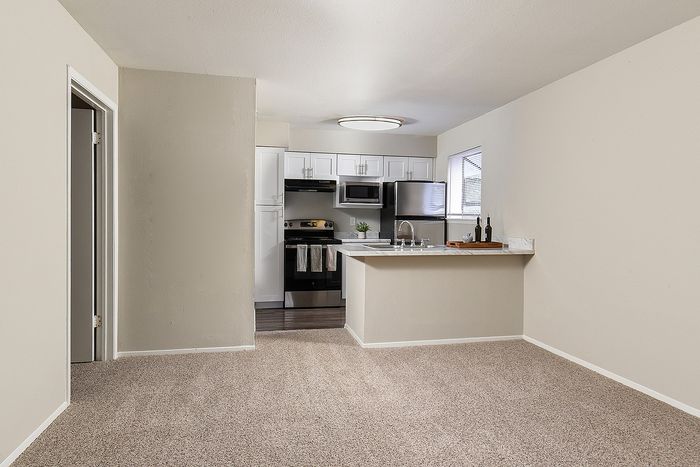 Modern apartment interior featuring an open-concept kitchen with stainless steel appliances, elegant cabinetry, and plush carpeted living area.