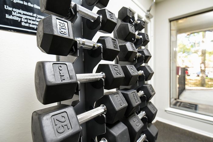 Modern gym area with a sleek rack of black hex dumbbells, offering a vibrant workout space filled with natural light.