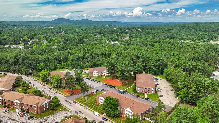 Vibrant aerial view of charming apartment buildings nestled amidst lush greenery with scenic mountain horizons.