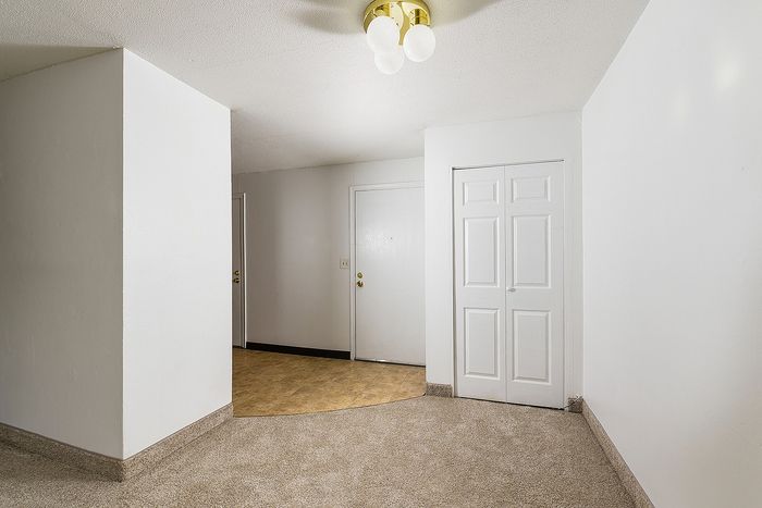 Bright and welcoming apartment entrance with plush carpeting and modern lighting.