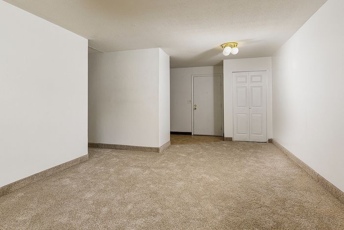 Bright and spacious room with modern neutral tones, featuring lush carpet and contemporary lighting, perfect for versatile living.