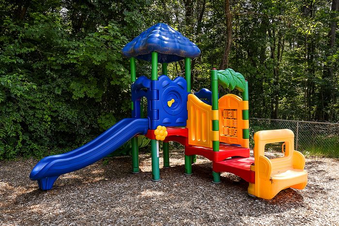 Vibrant outdoor playground set with a blue slide, colorful climbing features, and leafy canopy, nestled in a lush wooded area.