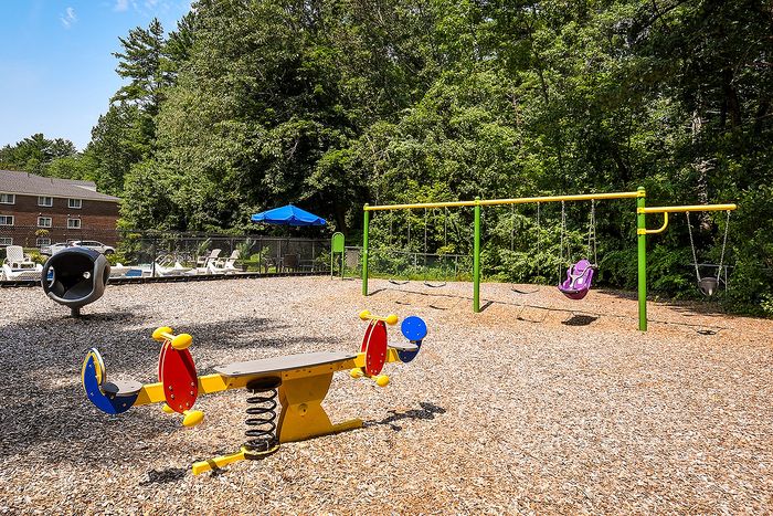 Inviting playground with vibrant seesaw and swings set against a lush green backdrop, perfect for family fun.