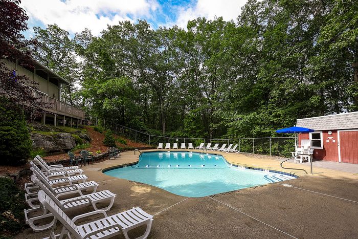 Inviting outdoor swimming pool surrounded by lush greenery and comfortable lounge chairs, perfect for relaxation and enjoying nature.