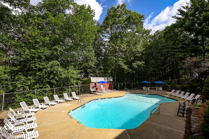 Inviting outdoor pool area surrounded by lush greenery, featuring comfortable lounge chairs and umbrellas for relaxation.