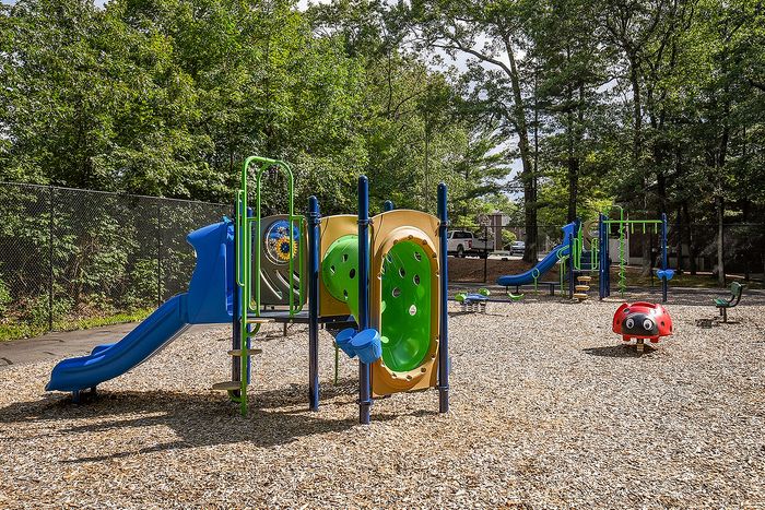 Vibrant outdoor playground surrounded by lush trees, featuring slides, climbing structures, and a whimsical ladybug seat, perfect for joyful playtime adventures.