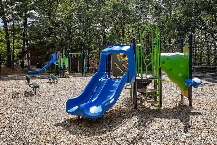 Bright and inviting playground with vibrant blue and green slides, surrounded by lush trees, perfect for family fun and outdoor adventures.