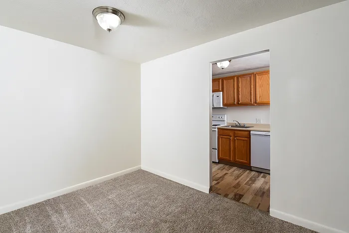 Bright and inviting living area with plush carpet, leading to a cozy kitchen featuring warm wood cabinetry and modern appliances.