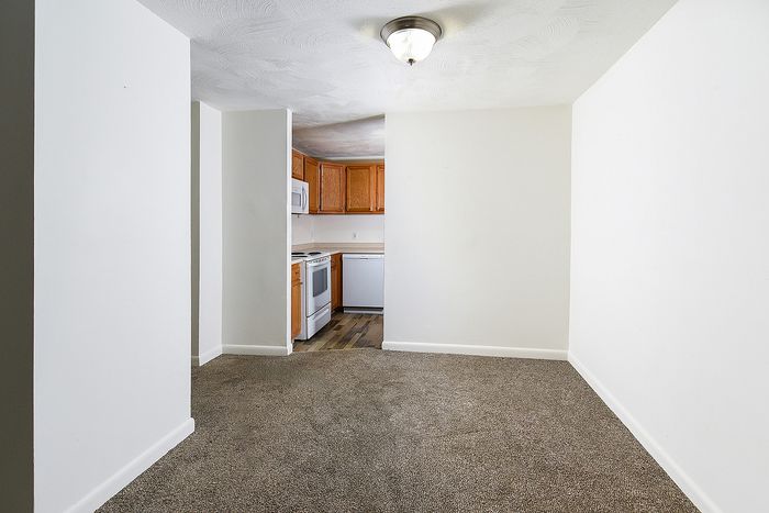 Bright open living space with plush carpet and a cozy kitchen featuring wooden cabinets and modern appliances.