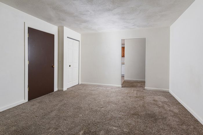 Contemporary apartment with plush carpeting, crisp white walls, and an inviting view into a cozy kitchen area.