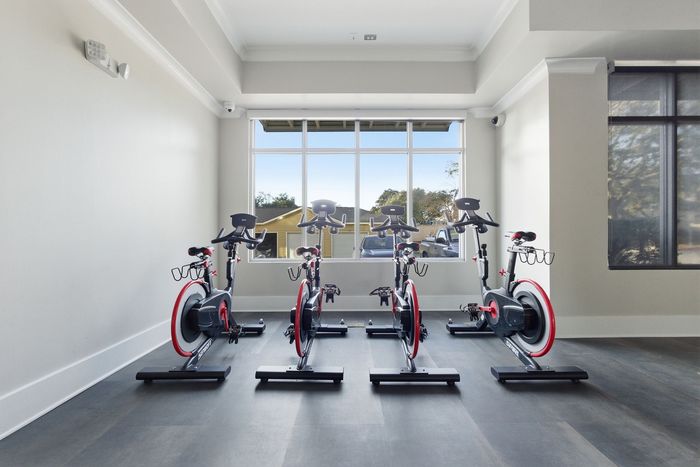 Bright and airy fitness room featuring modern stationary bikes with a scenic view through large windows.