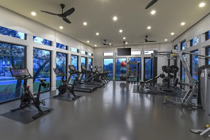 Modern fitness center with panoramic windows, featuring state-of-the-art cardio machines, weightlifting equipment, and colorful exercise balls.