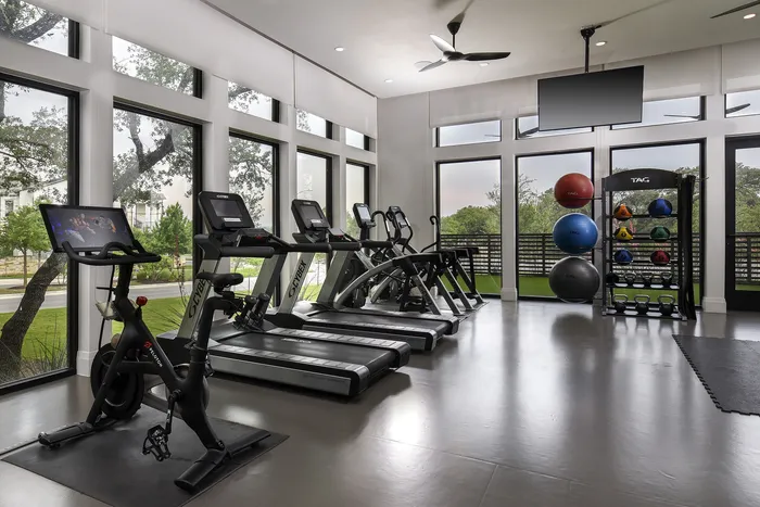 Modern gym with sleek cardio machines, vibrant exercise balls, and expansive windows showcasing scenic outdoor views.