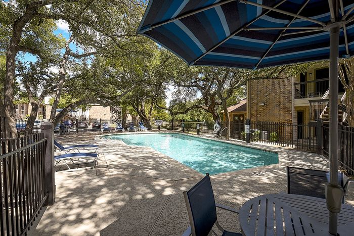 Charming outdoor swimming pool area with lounge chairs and shaded seating under towering trees, perfect for relaxation.