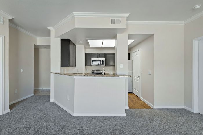 Modern kitchen with sleek dark cabinets, granite countertops, and stainless steel appliances, blending into a cozy, carpeted living area.