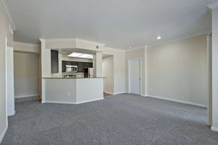 Bright and spacious living area with plush carpeting, open-concept kitchen featuring modern appliances and elegant countertops.