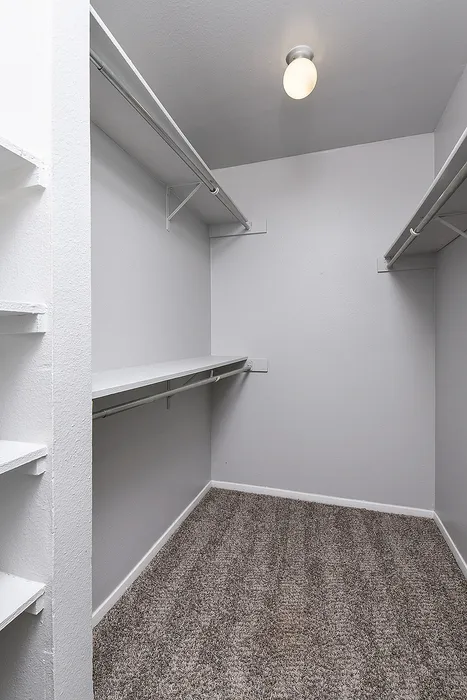 Spacious walk-in closet with ample shelving and modern lighting.
