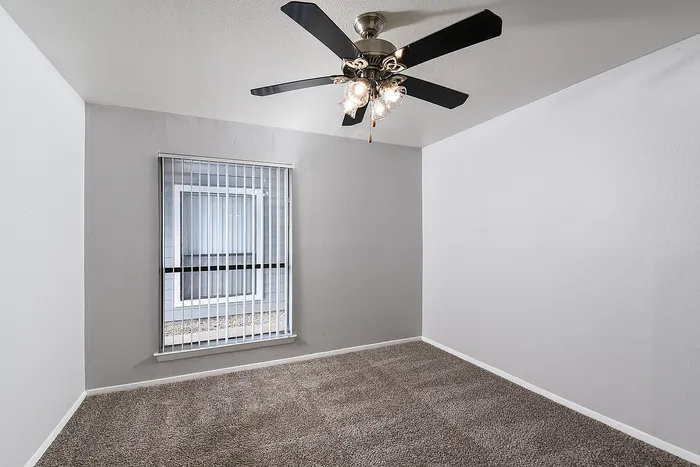Bright and inviting apartment room featuring plush carpet, a modern ceiling fan, and ample natural light through vertical blinds.