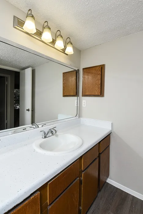 Modern bathroom featuring sleek vanity with polished sink, warm wooden cabinets, and elegant lighting fixtures.