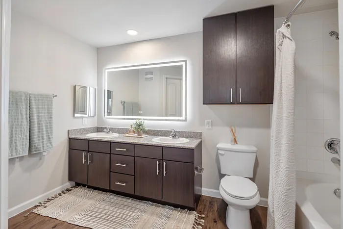 Modern bathroom with dual sinks, sleek cabinetry, and elegant lighting complemented by earth-toned decor.