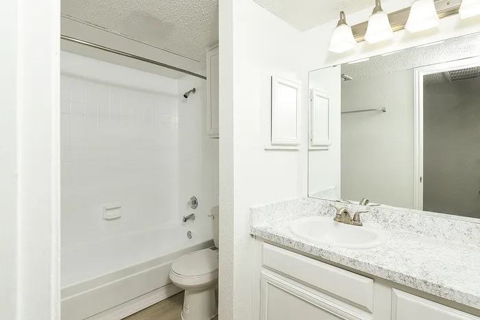 Bright and modern bathroom with a pristine bathtub, elegant granite countertop, and sleek lighting fixtures.