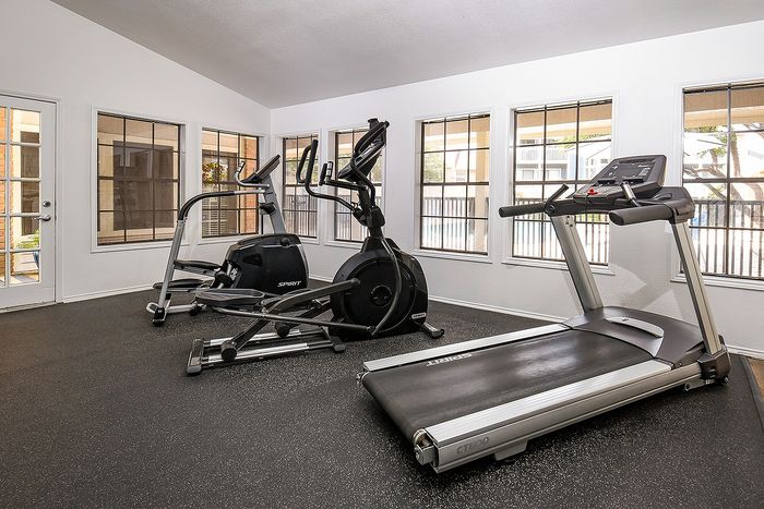 Bright and modern apartment gym featuring state-of-the-art treadmill and elliptical machines with large windows allowing natural light.