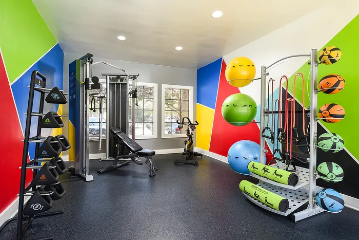 Vibrant home gym equipped with diverse fitness equipment, colorful exercise balls, and modern resistance bands, set against a lively geometric wall design.