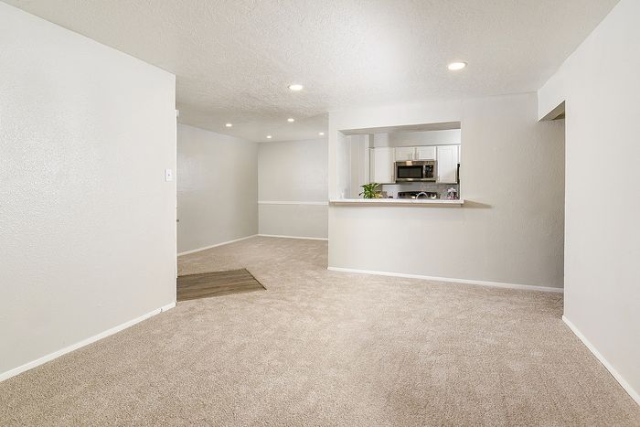 Open-concept living room with plush carpeting and a view into a modern kitchen with stainless steel appliances.