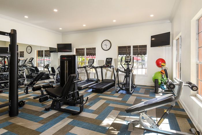 Modern fitness center with state-of-the-art gym equipment, vibrant floor design, abundant natural light, and sleek decor.