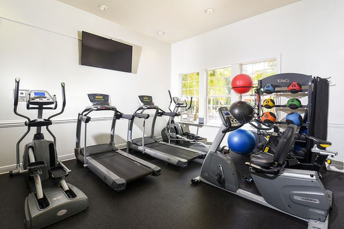Modern fitness center with advanced exercise machines, vibrant gym balls, and natural light for an invigorating workout experience.