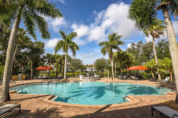 Inviting resort-style swimming pool surrounded by lush palm trees and comfortable lounge chairs under a bright blue sky.