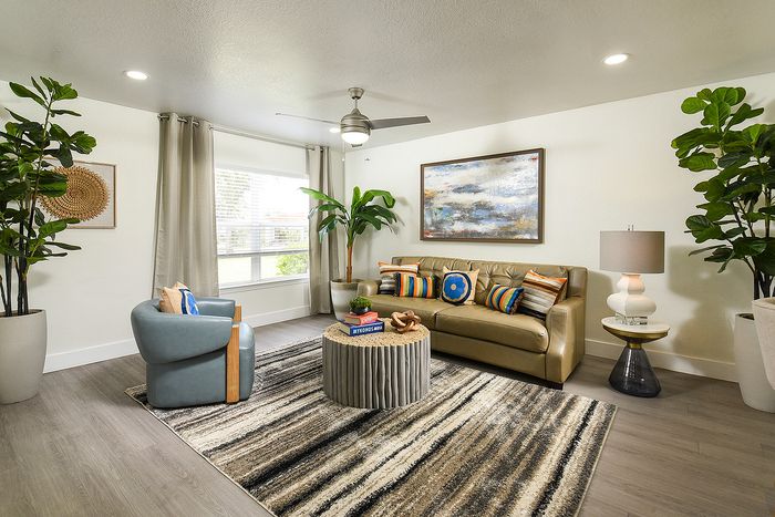 Contemporary living room with a stylish leather sofa, vibrant cushions, and modern decor. Abundant natural light enhances the cozy ambiance with potted plants and a unique coffee table.