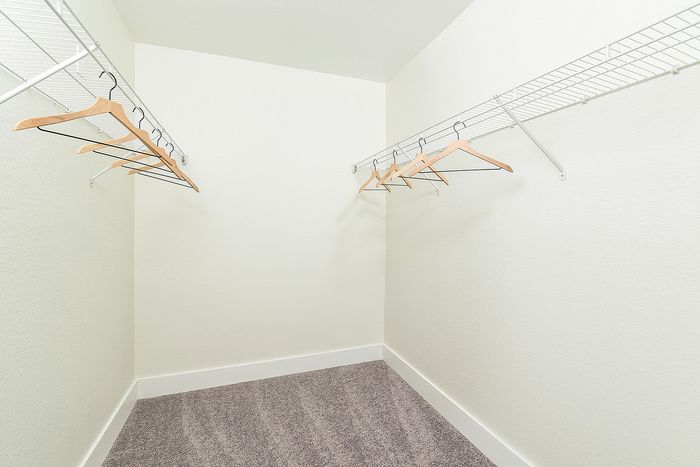 Spacious walk-in closet with plush carpeting and ample hanging space, perfect for organizing your wardrobe.