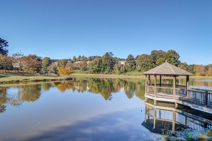 Scenic Pond Outlook
