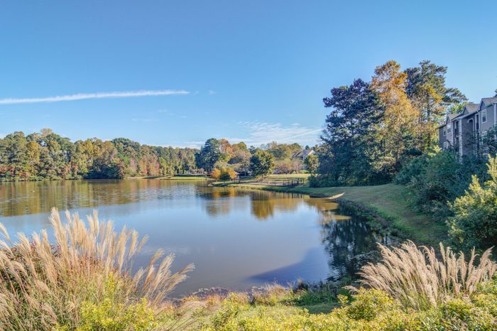 Beautiful Nature Views
