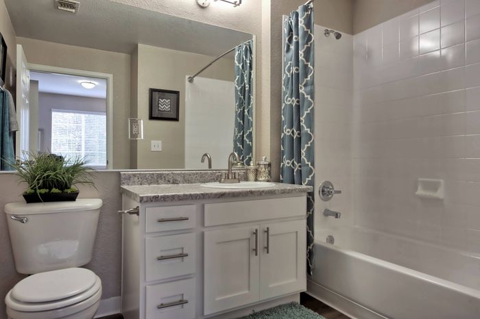 Full Bathroom View