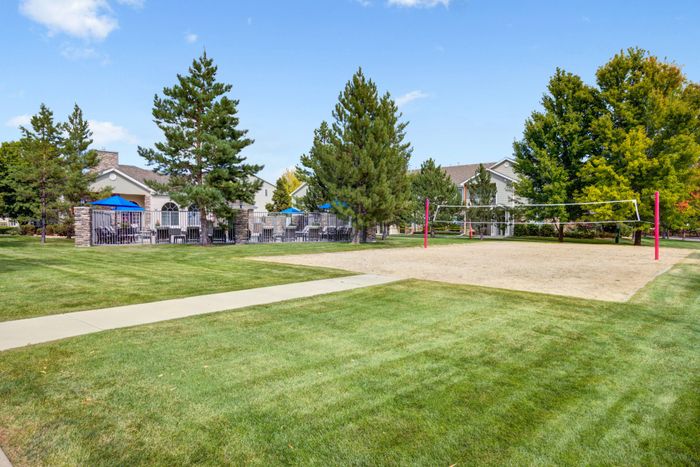 Volleyball Court
