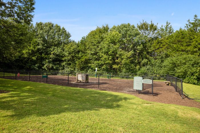 Dog Park